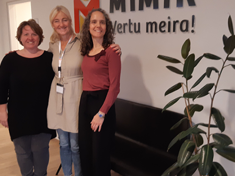Starfsspeglun (Job Shadowing) frá Spáni og Austurríki