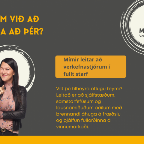 Við leitum að verkefnastjórum
